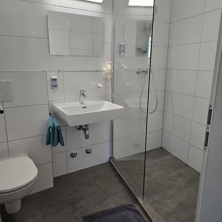 Otel Hafnerwirt Hallein